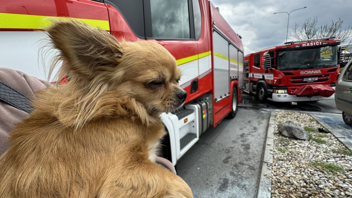 Na parkovišti před Ikeou v Praze vzplálo auto, prodavačka z něj zachránila psa